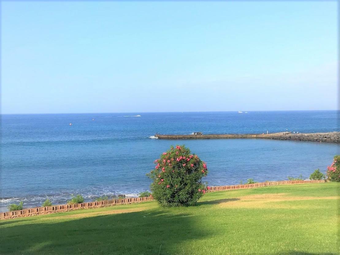 Playa De Fanabe Mareverde アデヘ エクステリア 写真